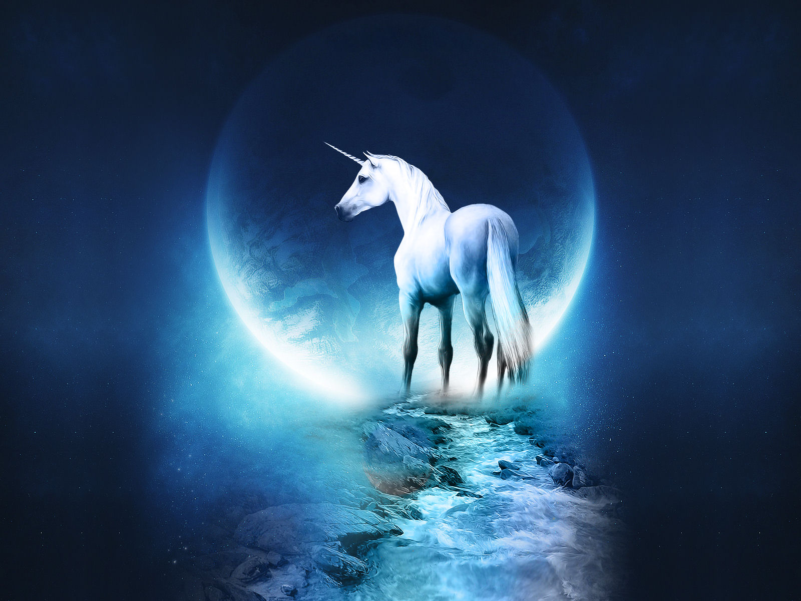 Beautiful Horses Wallpapers HD Pictures2016free 7