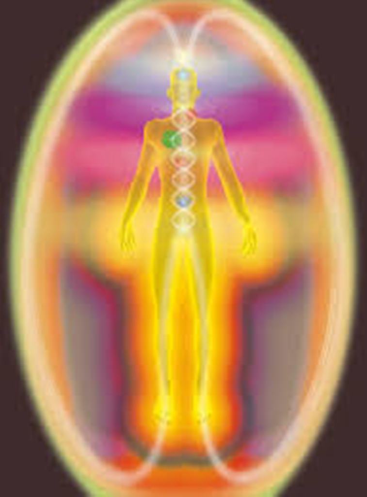 energy bodys1